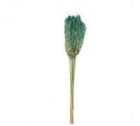 Factory Cuadros - Cuadro Decorativo Pampa Verde 75cm