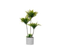 Factory Cuadros - Maceta Cemento Gigante - Palmera Verde - Planta Artificial - Dimensiones del Producto 20x20x70 Cm