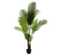 Factory Cuadros Palmera con Maceta, 170 Cm de Alto / Planta Artíficial
