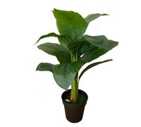 Factory Cuadros Planta Artificial Platanera 100cm - Decoración Realista