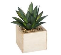 Factory cuadros Planta chic con maceta madera 14cm altura