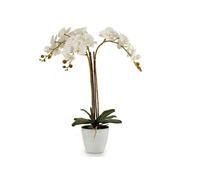 Factory Cuadros - Planta Orquídea Adaya Blanca con Maceta - Decoración Elegante