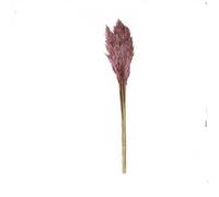 Factory Cuadros - Ramo de Pampas Lilas Natural 75cm