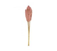 Factory Cuadros Ramo de Pampas Pampa Rosa 75cm - Decoración Estilo Natural