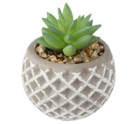 Factory Cuadros Suculenta Artificial Maceta de Cemento H9cm - Decoración Moderna