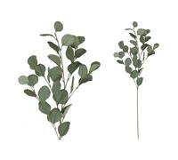 Factory Cuadros - Varas de Eucalipto - Pack de 4 - 30-90cm - Verde lor Artificial