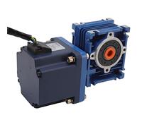 Fafeicy Motor DC sin Escobillas de 120W 24V, Motor sin Eje Hueco 5.0A, Vida útil de 30000 Horas con Cojinete de Rodillos de Engranaje de Acero Aleado para Electrodomésticos, Coche de (42r/min)