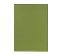 FALKEN Carpeta Reciclaje Para DIN A4, paquete de 100, color verde