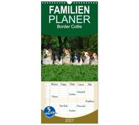 Familienplaner 2027 - Border Collie 2027 mit 5 Spalten (Wandkalender, 21 x 45 cm) CALVENDO: Auf 13 wunderschönen Fotos zeigt die Tierfotografin Sigrid Starick Border Collies in vielen Farben