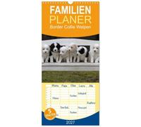 Familienplaner 2027 - Border Collie Welpen mit 5 Spalten (Wandkalender, 21 x 45 cm) CALVENDO: Putzige Minihütehunde