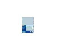Favorit 400006686 - Separadores de perforación universal para carpetas de anillas con 12 marcas numéricas (de 1 a 12), formato interior A4, de polipropileno (material plástico no tóxico)
