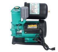 Fdit Bomba de Agua Autocebante 250W, Motor de Cobre Puro, Cuerpo de Hierro Fundido con Válvula de Retención para Riego de Jardín y Hogar (Enchufe de la UE)