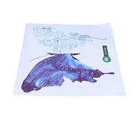 Fdit Calcomanías de Mariposa Azul para Pared, Kit de Adhesivos para Sala de Estar, Dormitorio, Cuarto Infantil, Decoración Removible para Ventana de Vidrio, 12 Piezas de PVC Impermeable