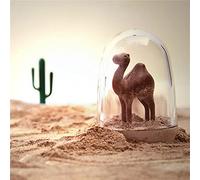 Fdit Innovador Juego de Tarros para Especias, 4 Unidades, para un Cómodo Almacenamiento de Condimentos en el Comedor, Bonito Diseño con Materiales Duraderos (Animal)