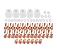 Fdit Juego de 65 Piezas de Consumibles de Corte por Plasma, Piezas de Cortador de Plasma, Accesorios para Antorcha de para CUT-40 CUT-40D LGK-40 CT312 CT416 CT518 Super160 con