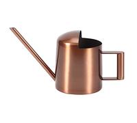 Fdit1 Regadera pequeña de Acero Inoxidable de 300 ml Caño Largo Aspersor de Plantas de Maceta Herramienta de Flores para niños Escritorio de casa Plantas de Oficina Bonsai