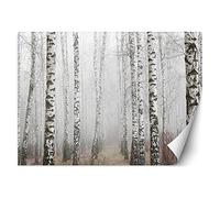 Feeby Papel Pintado Bosque Árboles 350x245 cm Gris Fotomurales Decoración De Paredes Moderna Casa Oficina Despacho Cuarto De Invitados Naturaleza Abedules Niebla