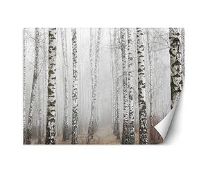 Feeby Papel Pintado Bosque Árboles 350x245 cm Gris Fotomurales Decoración De Paredes Moderna Casa Oficina Despacho Cuarto De Invitados Naturaleza Abedules Niebla