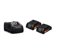 Fein GBA 92604244010 - Batería de Arranque (18 V, 2,0 Ah, 2 baterías de Iones de Litio de 2,0 Ah + Cargador, para AMPShare/Bosch Professional 18 V, Corto Tiempo de Carga, Corriente de Carga de 8