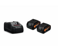 FEIN Set de inicio de baterías GBA 18 V 5.0 Ah AS | 2 baterías de iones de litio con cargador rápido GAL 1880 CV. Para baterías con conector de 18 V AMPShare o Bosch Professional