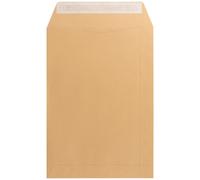 Felixmania Sobre Bolsa Kraft Tira de Silicona Salarios Nº1 100x145mm (Caja de 1000 Uds.)