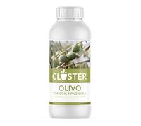 Fertilizante Líquido para Olivo con Nitrógeno, Cobre, Fósforo y Potasio - con Quelatos de Hierro - Abono para Plantas Verdes de Interior, Jardín y Huerto - Para Olivos 1 Litro