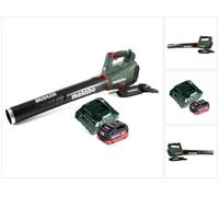 Festool ETSC 125 Li-Basic Lijadora excéntrica a batería 18V en Systainer ( 201533 ) - Sin batería, sin cargador incluidos