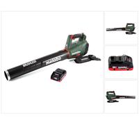 Festool ETSC 125 Li-Basic Lijadora excéntrica a batería 18V en Systainer ( 201533 ) - Sin batería, sin cargador incluidos