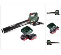 Festool ETSC 125 Li-Basic Lijadora excéntrica a batería 18V en Systainer ( 201533 ) - Sin batería, sin cargador incluidos