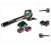Festool ETSC 125 Li-Basic Lijadora excéntrica a batería 18V en Systainer ( 201533 ) - Sin batería, sin cargador incluidos