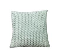 FGUJSUR Funda De Cojín Cuadrada Elegante Funda de Almohada Terciopelo Acolchado for sofá o Sala Estar(Mint Green,45x45cm)