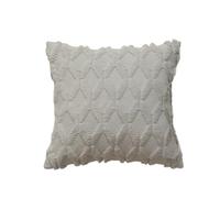 FGUJSUR Funda De Cojín Cuadrada Funda de Almohada Felpa, Funda cojín Lujo, Decorativa for sofá, Dormitorio, Sala Estar y hogar(Light Grey,50x50cm)