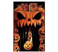 FIESTAS GUIRCA | Decoración de Puerta Cortina de Calabazas (145x240 cm) - Decoración de Halloween para Pared, Puerta y Ventana - Ideal para Fiestas y Celebraciones - Naranja y Negro