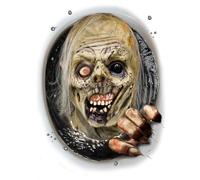 FIESTAS GUIRCA | Decoración WC Zombie (30x40 cm) - Adorno de Pared, Puerta y Ventana para Fiestas de Halloween y Celebraciones de Terror - Ideal para Ambientes Espeluznantes - Multicolor