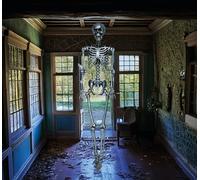 FIESTAS GUIRCA | Esqueleto Color Plata (90 cm) - Decoración de Halloween para Fiestas y Celebraciones - Ideal para Ambientes Terroríficos y Temáticas de Calaveras y Esqueletos - Plata