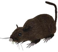 FIESTAS GUIRCA | Rata Marrón de Decoración (15 cm) - Accesorio Realista para Fiestas de Halloween y Celebraciones de Animales - Ideal para Ambientes Espeluznantes y Escenarios Terroríficos - Marrón
