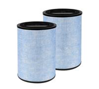 Filtro Combinado De Carbono H13 True HEPA F300, Compatible Con Purificador De Aire Instantáneo AP300, Filtración De 4 Niveles, Alta ajo Nivel De Ruido, Larga Duración(2Pcs Filter)