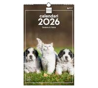 Finocam - Calendario de pared 2026 25x40 cm Mes Vista Enero - Diciembre 2026 + Sep.- Dic. 2025 (4 meses) reducidos | Calendario 2026 | Imágenes Perros y gatos - Catalán