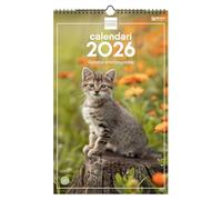 Finocam - Calendario de pared 2026 25x40 cm Mes Vista Enero - Diciembre 2026 + Sep.- Dic. 2025 (4 meses) reducidos | Calendario 2026 | Imágenes Gatitos - Catalán