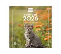 Finocam - Calendario de pared 2026 30x30 cm Mes Vista Enero - Diciembre 2026 + Sep.- Dic. 2025 (4 meses) reducidos | Calendario 2026 | Imágenes Gatitos - Catalán