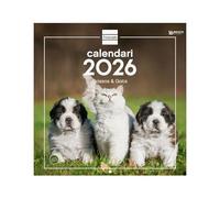 Finocam - Calendario de pared 2026 30x30 cm Mes Vista Enero - Diciembre 2026 + Sep.- Dic. 2025 (4 meses) reducidos | Calendario 2026 | Imágenes Perros y gatos - Catalán