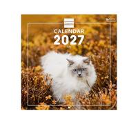 Finocam Calendario de Pared Internacional 2027 | Imágenes Cats