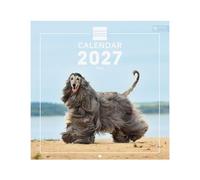 Finocam Calendario de Pared Internacional 2027 | Imágenes Dogs