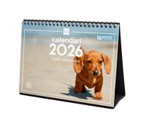 Finocam - Calendario de sobremesa 2026 Mes Vista Enero - Diciembre 2026 + Sep.- Dic. 2025 (4 meses) reducidos | Calendario 2026 | Imágenes Cachorros - Catalán