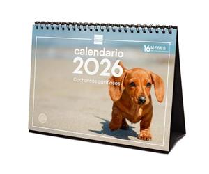 Finocam - Calendario de sobremesa 2026 Mes Vista Enero - Diciembre 2026 + Sep.- Dic. 2025 (4 meses) reducidos | Calendario 2026 | Imágenes Cachorros - Español