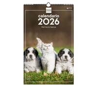Finocam - Calendario Imágenes de Pared Espiral para Escribir 2026 Perros y gatos Enero 2026 - Diciembre 2026 (12 meses) + Sep.-Dic. 2025 (4 meses) reducidos Español My vista 25x40 - 250x400 mm