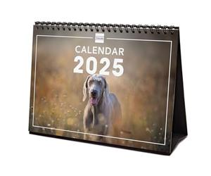 Finocam - Calendario Imágenes de Sobremesa Internacional 2025 Mes Vista Enero 2025 - Diciembre 2025 (12 meses) Dogs Internacional