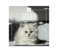 Finocam Calendario Pared 30x30 Escribir 2027 Imágenes Gatitos · Español | Calendario mensual. Planificación y Organización. Ideal para la oficina y para el hogar