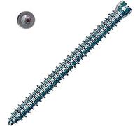 Fischer FFSZ - Tornillo para ventanas y marcos de ventanas, cabeza cilíndrica, huella Torx 5 x 82 T15 (50 unidades)
