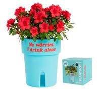 Fisura - Macetero autorriego Original “Drink Alone”. Macetero autorriego 12 cm de diámetro. Maceta de riego automático Azul. Maceta Mini para Plantas aromáticas y Plantas de jardín.